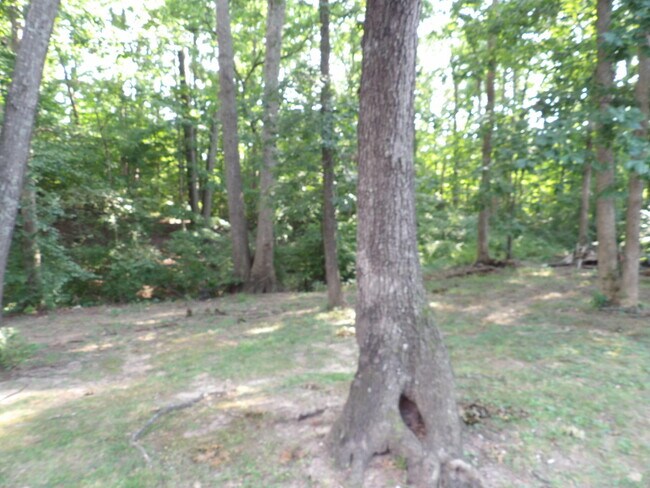 Building Photo - 244 Meadowview Dr