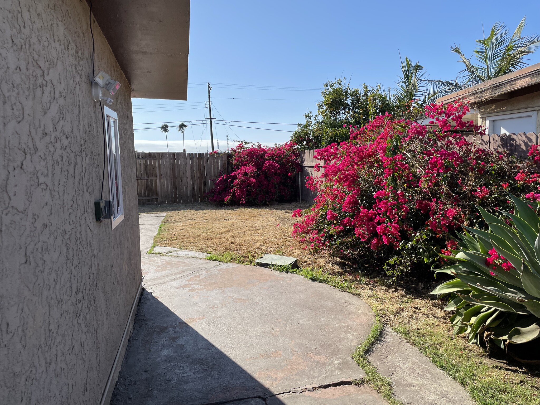 Side yard - 514 Doolittle Ave
