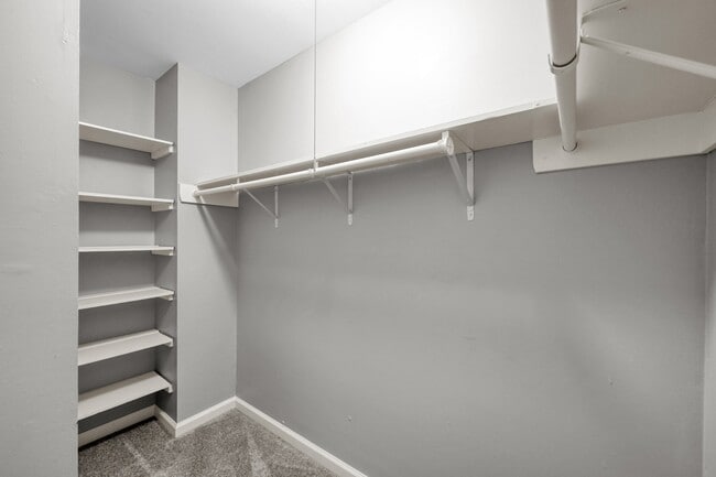 Building Photo - 8226 Autumn Willow Dr