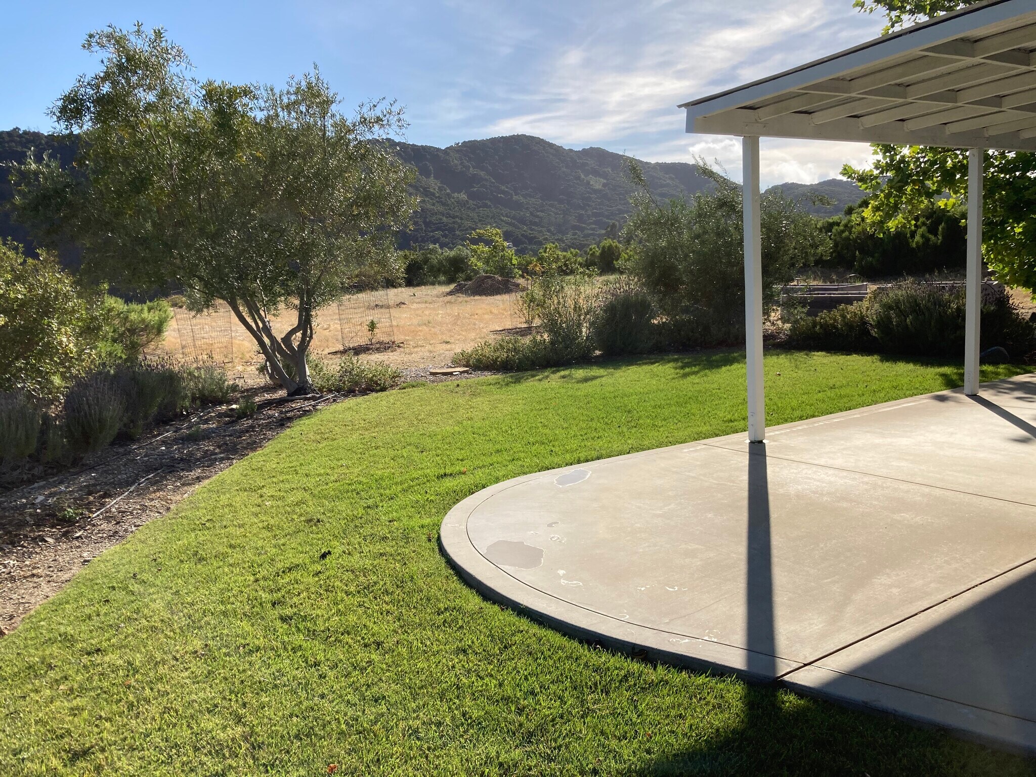 Back covered patio and lawn - 2596 Black Walnut Rd