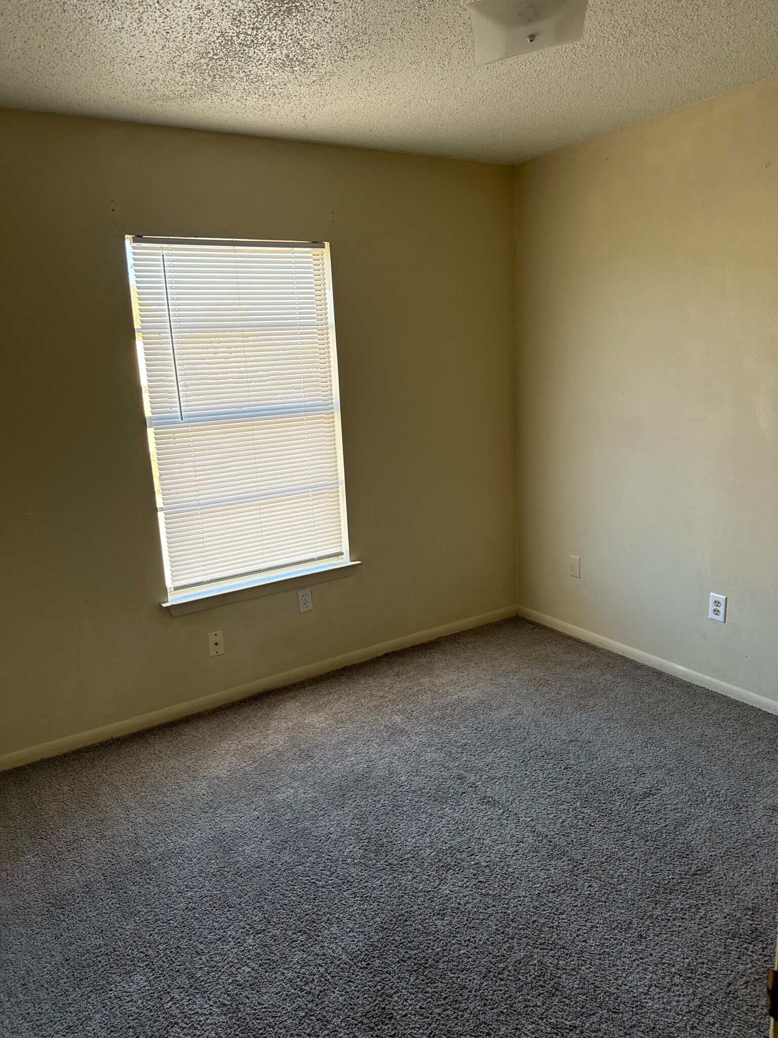 Building Photo - 4505 Hunt Cir