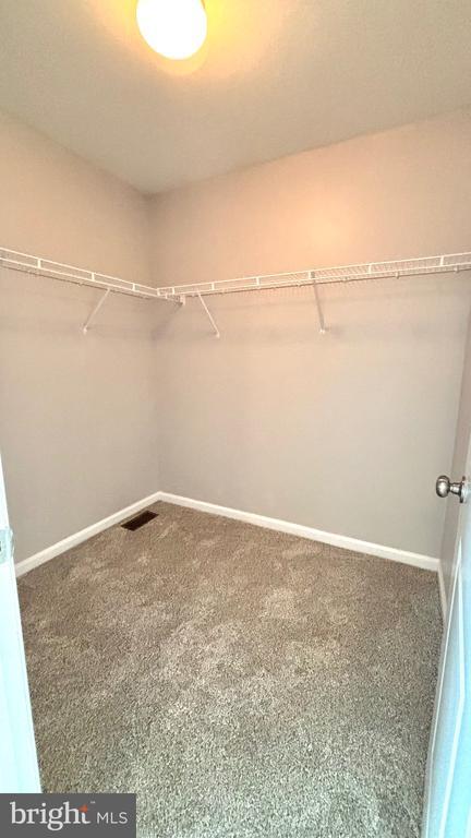 Building Photo - 6209 Galleon Drive