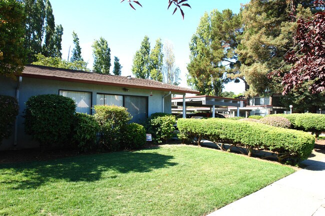Building Photo - Camellia apartments