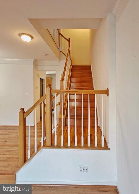 Building Photo - 13030 Park Crescent Cir