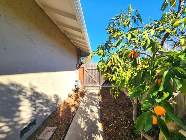 Building Photo - Charming Single Family Home Located in Sou...