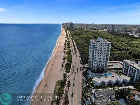 Building Photo - 1151 N Fort Lauderdale Beach Blvd