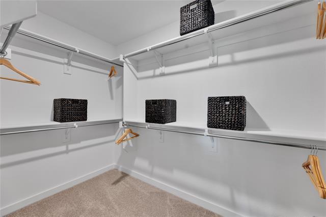 Building Photo - 3949 Bernese Dr