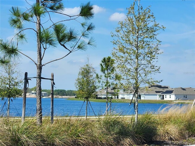 Building Photo - 3049 Ella Wy