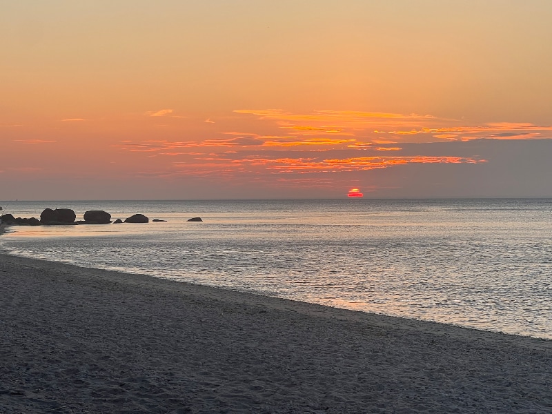 Building Photo - 2 Wood Path