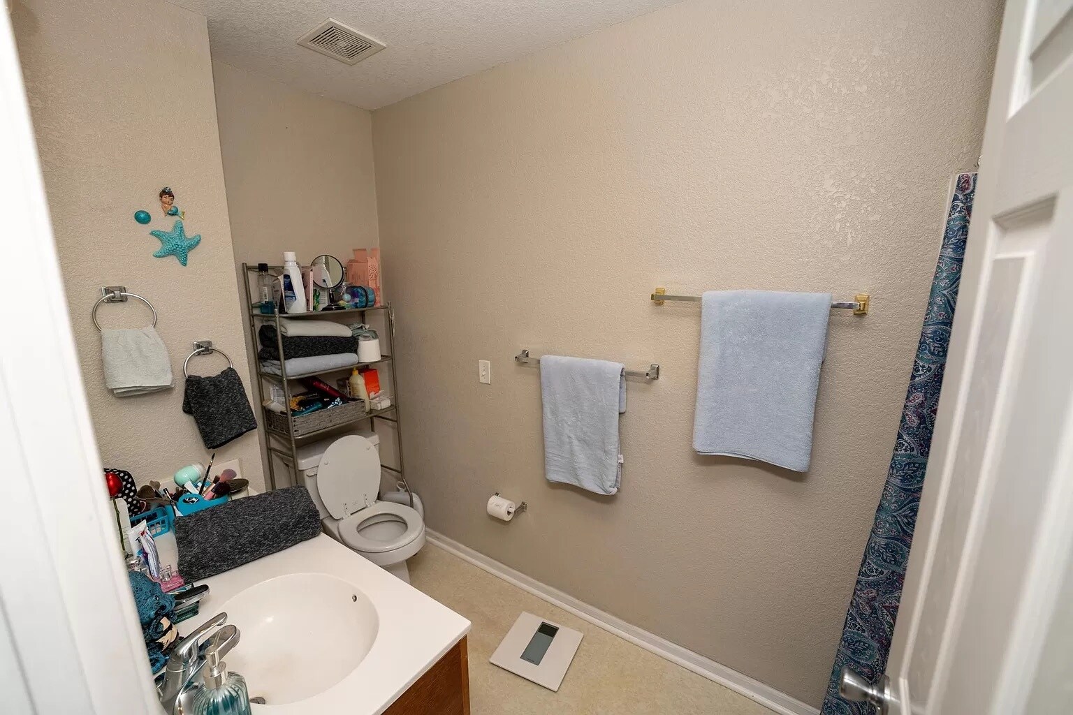 Building Photo - 1109 Newfoundland Dr