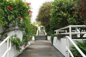 Beautiful Landscaped Interior Courtyard - 2185 Bush St