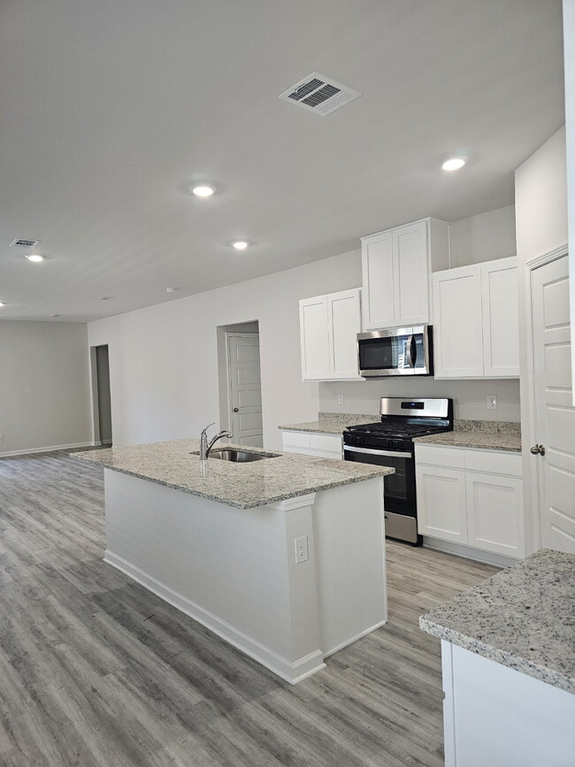 Building Photo - "New Construction 4-Bed Gem on Renova Driv...