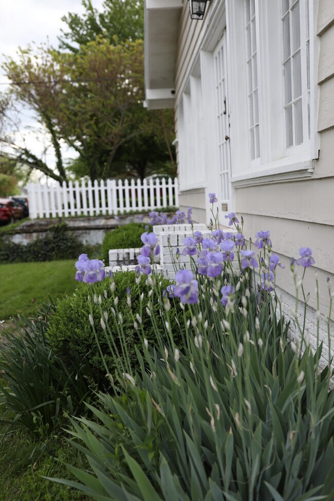 Building Photo - 881 Chester Rd