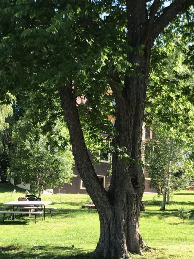 Building Photo - 306 S Kirkwood St