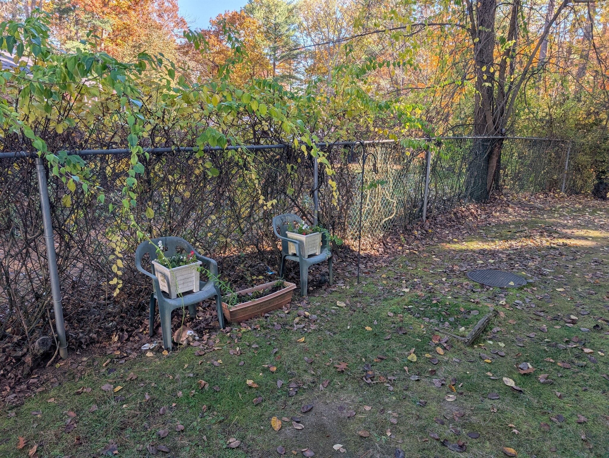 Behind unit - 33 Garden Rd