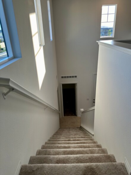 Building Photo - 1716 Mardi Gras Ln