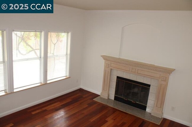 Building Photo - 247 Catalina Dr