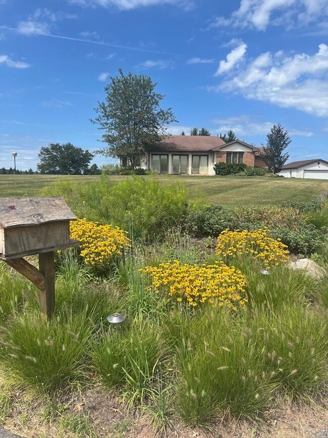 Primary Photo - 3 Bedroom Home on 3 Acres