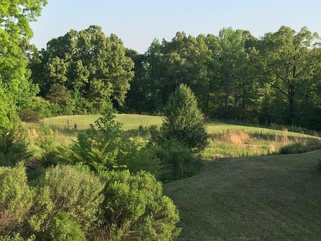 Building Photo - 1100 Augusta Dr