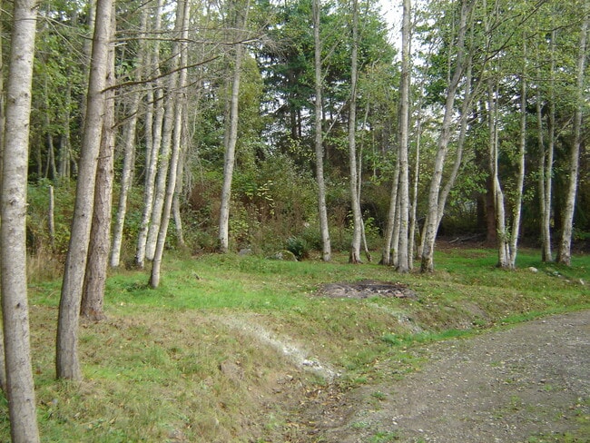 Building Photo - ***PENDING APPLICATION***Cabin in the woods on 4+ Acres.