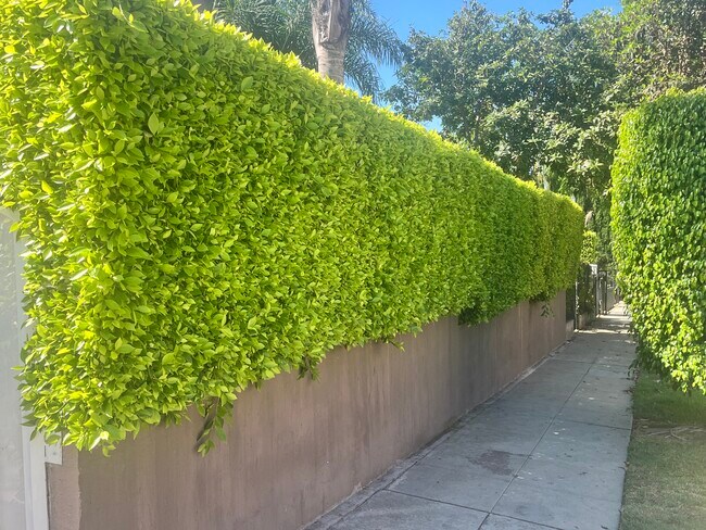 Building Photo - 2500 S Bronson Ave