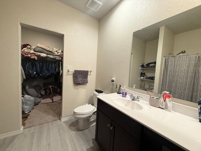 Building Photo - Beautiful 3 bedroom single story home in St Hedwig