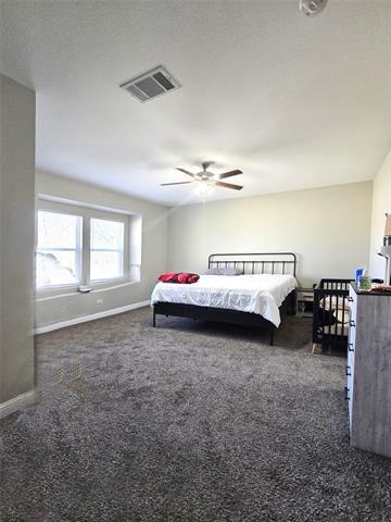 Building Photo - 4134 Ball St