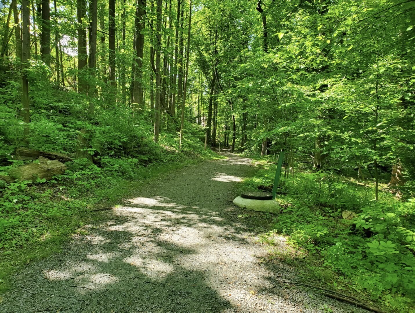 Building Photo - 3152 Bayswater Ct