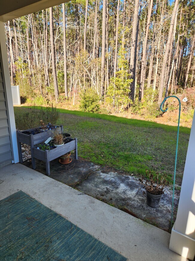 Back Yard - 156 Laurel Hill Pl