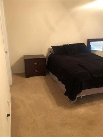 Building Photo - 3137 Stone Forest Cir