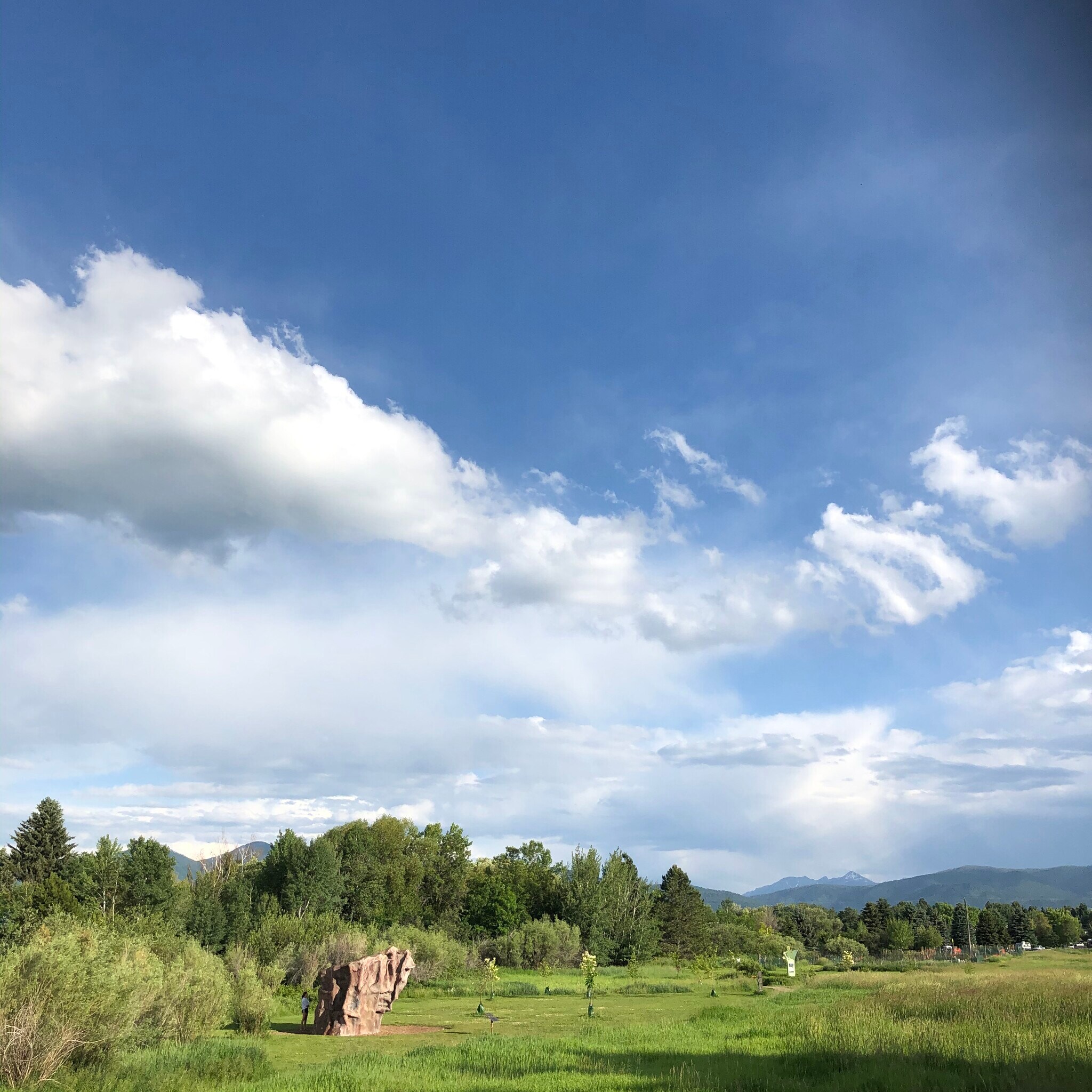 climbing boulder and community gardens and trail right outside your doorstep - 12 E Garfield St