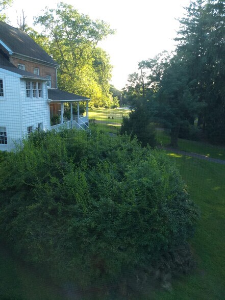 View - 4659 Montgomery Rd