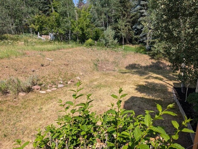 Building Photo - Recently Updated Pinebrook Home