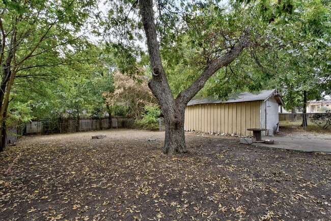 Building Photo - Hyde Park Hideaway! 3/2 with washer/dryer,...