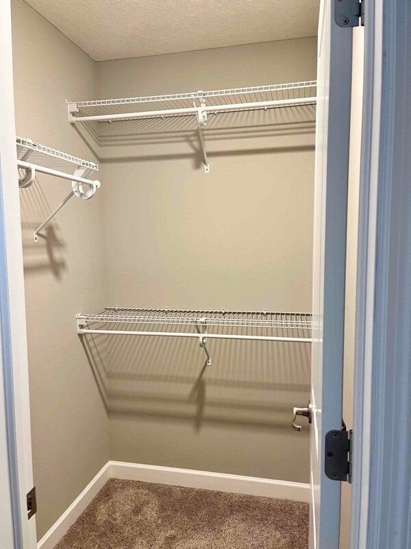 Building Photo - 3337 Lakewood Trl