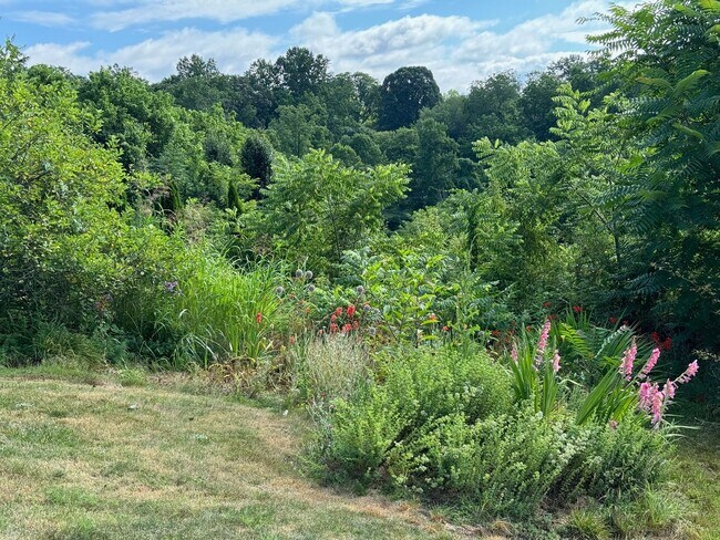 Building Photo - West AVL  - Mountain Views, Garden Space, Beautiful Yard!