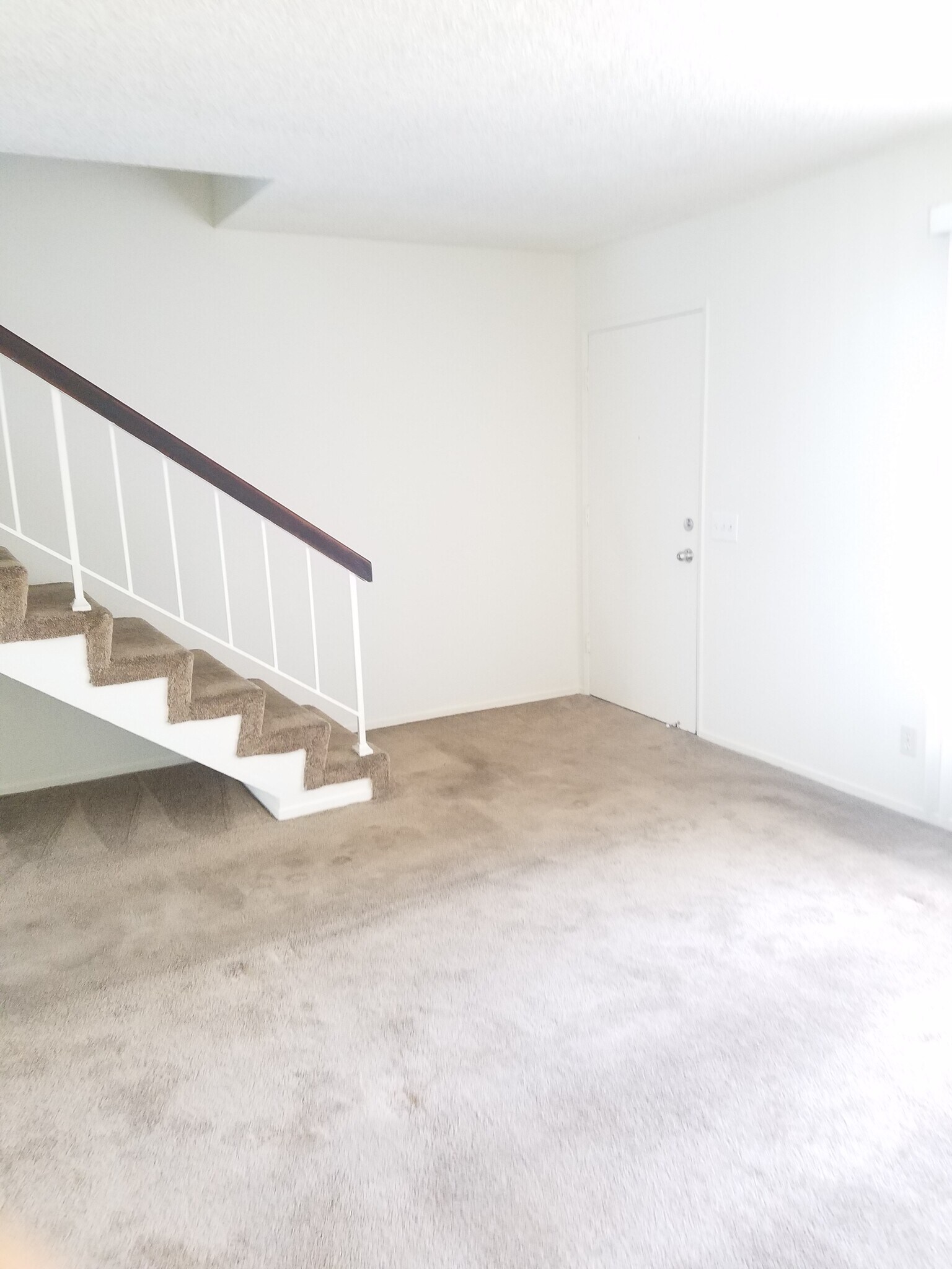 Front door - 725 Windwood Dr