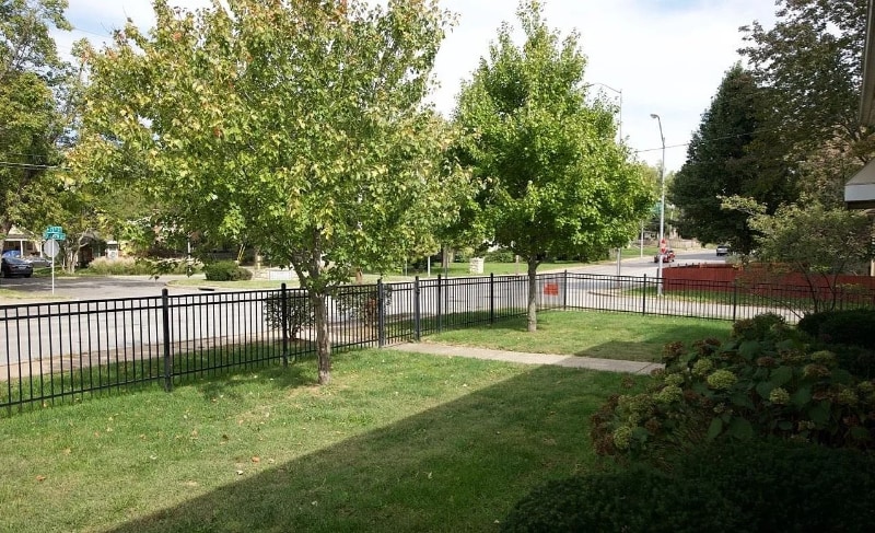 Building Photo - 1005 W 75th St