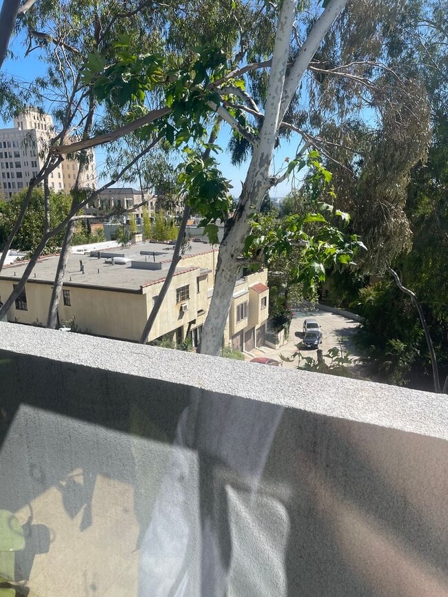 Building Photo - Hollywood Luxury 2 Bed Condo!