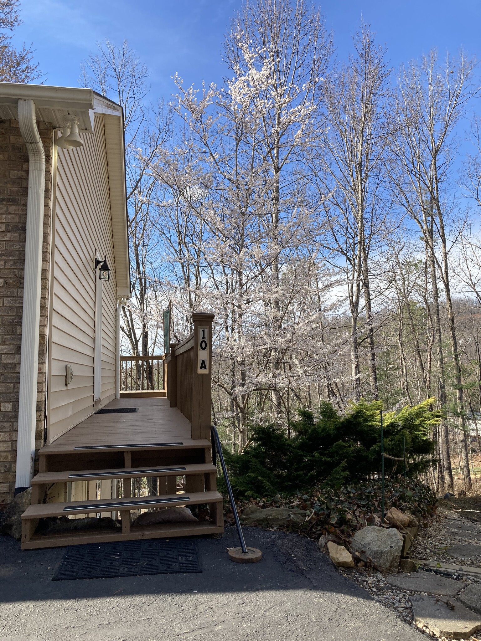 Attractive views - 10 Hillsboro Dr