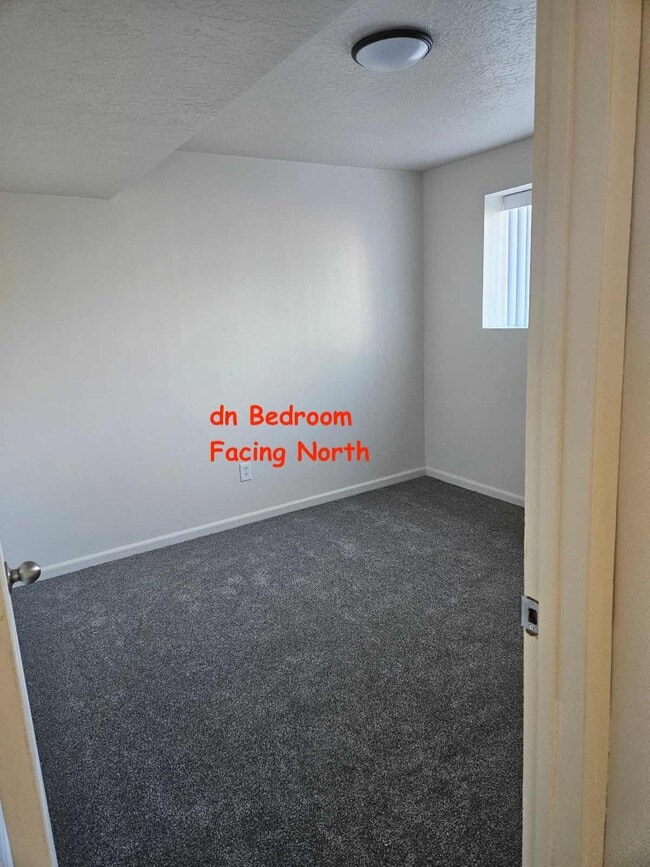 Building Photo - 1438 Stetson Way