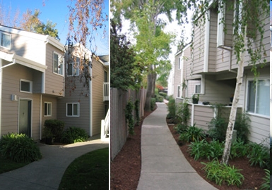 Building Photo - Redwood Court
