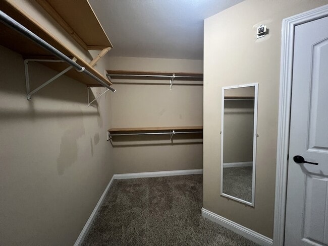 Building Photo - 1701 Winterhaven Ct