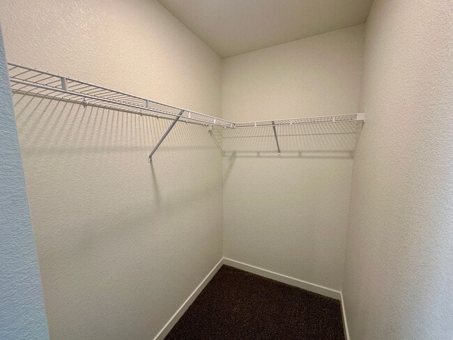 Building Photo - 3905 Congaree Wy