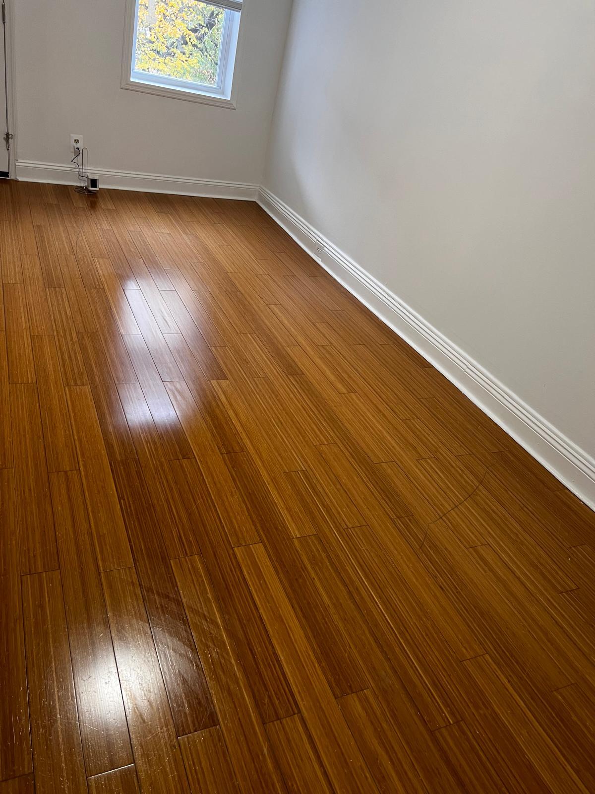 Bamboo Flooring throughout - 2448 Lakeview Ave