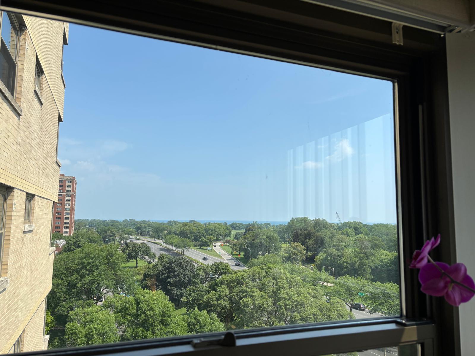 North view from DR - 4200 N Marine Dr