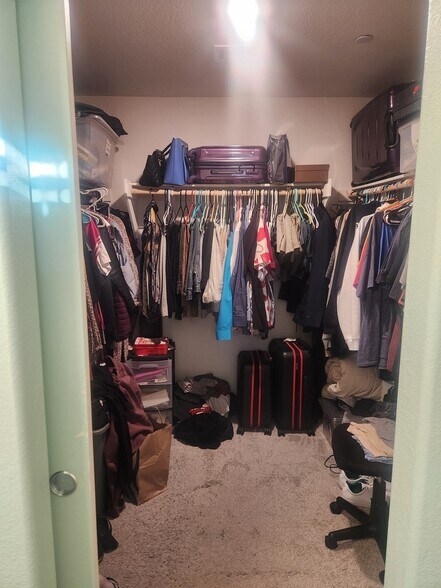 Walk-In Closet in Master - 6940 Crescent Gold St