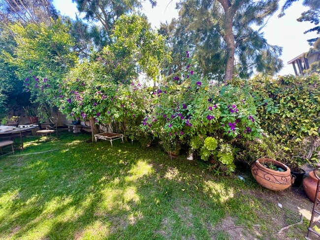 PRIVATE BACKYARD - 2441 10th St