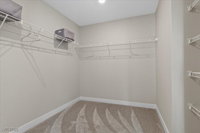 Building Photo - 4181 Nopal Serrano Ave