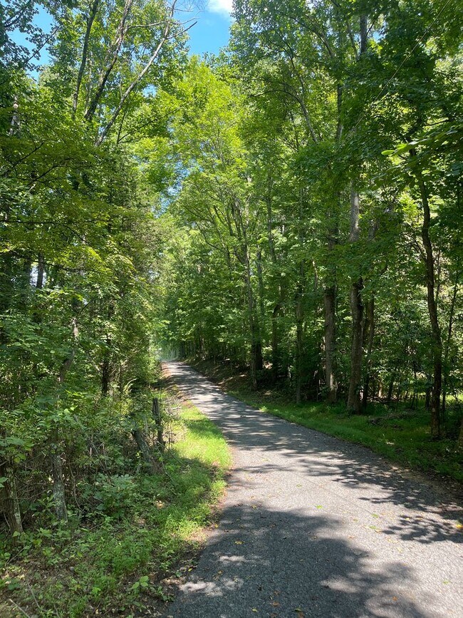 Building Photo - 2 Bedroom / 1 Bath Brick Home Jonesborough, TN